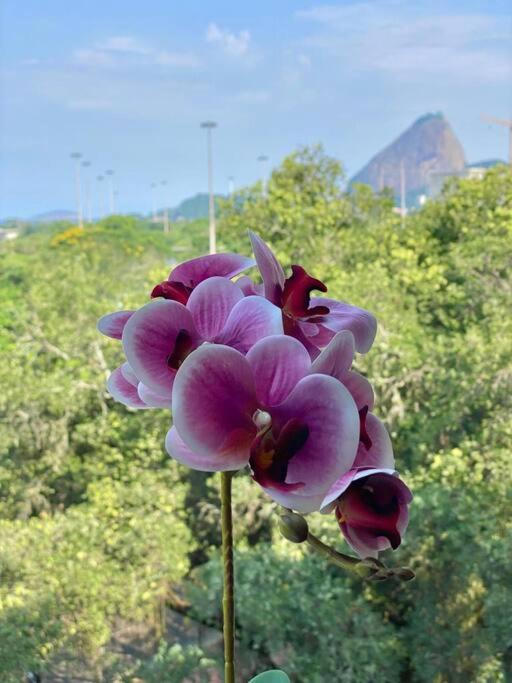 Apartamento Moderno Com Incrivel Vista Mar Na Gloria As232-701